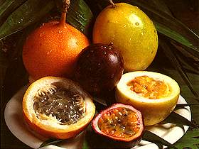 passionfruits.jpg (14511 bytes)